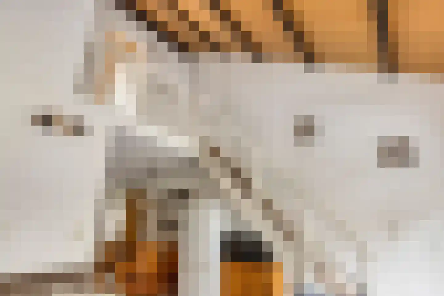 Molenweg "De Kreek" Konijnenberg 36 Bruinisse thumbnail 13