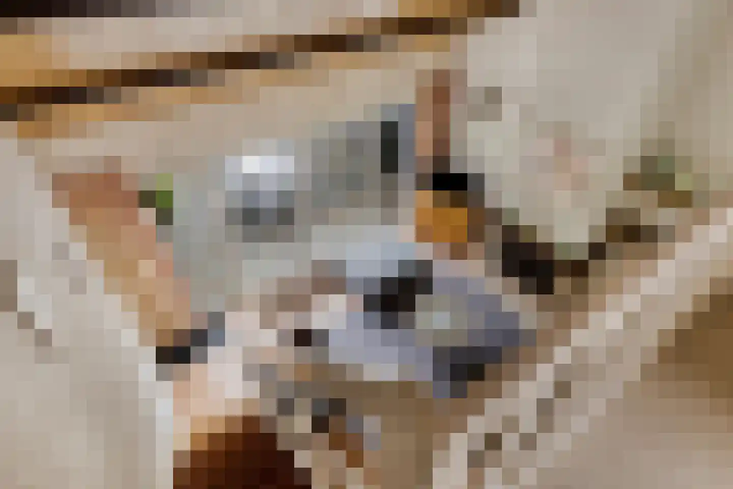 Molenweg "De Kreek" Konijnenberg 36 Bruinisse thumbnail 14