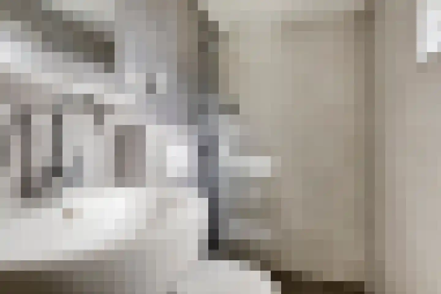 Molenweg "De Kreek" Konijnenberg 36 Bruinisse thumbnail 15