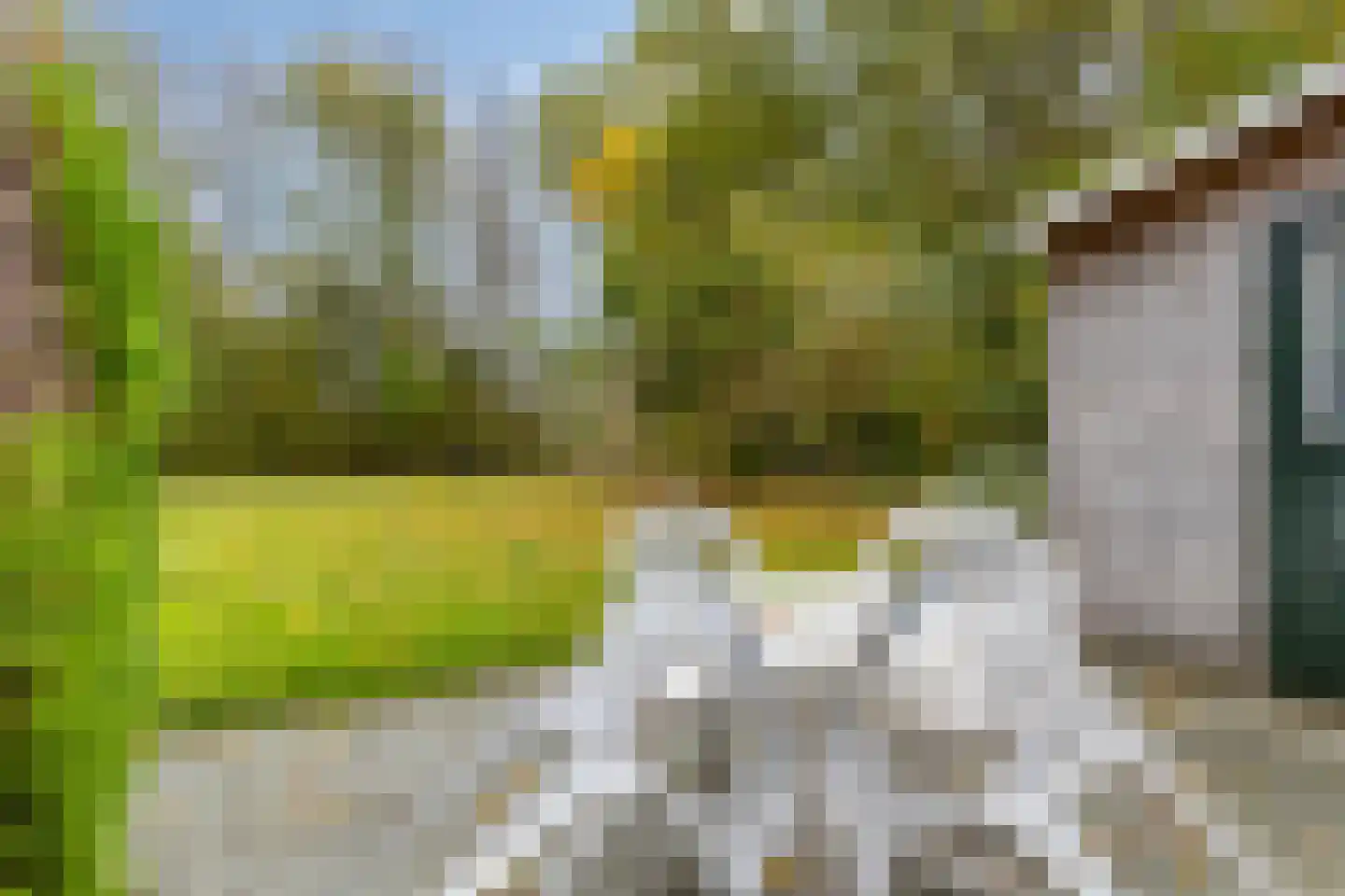 Molenweg "De Kreek" Konijnenberg 36 Bruinisse thumbnail 22