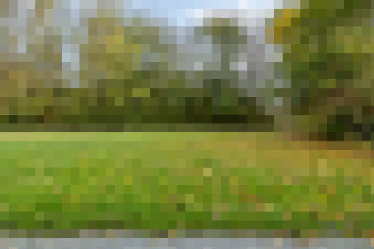 Molenweg "De Kreek" Konijnenberg 36 Bruinisse thumbnail 24