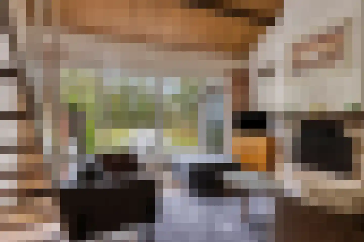 Molenweg "De Kreek" Konijnenberg 36 Bruinisse thumbnail 7