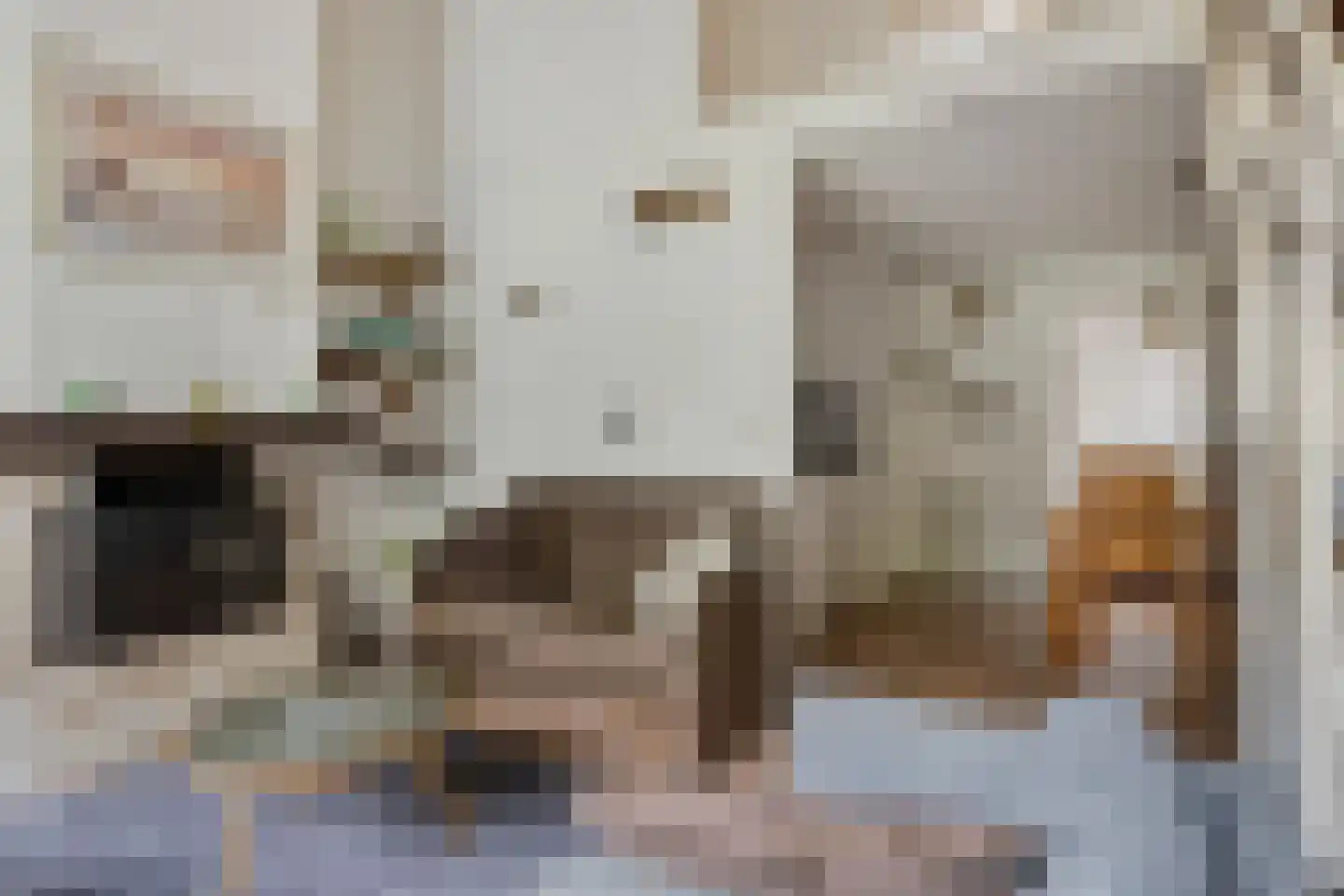 Molenweg "De Kreek" Konijnenberg 36 Bruinisse thumbnail 8
