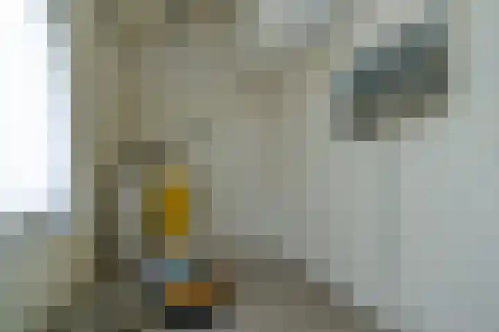 Molenweg "De Kreek" Konijnenberg 53 Bruinisse thumbnail 10