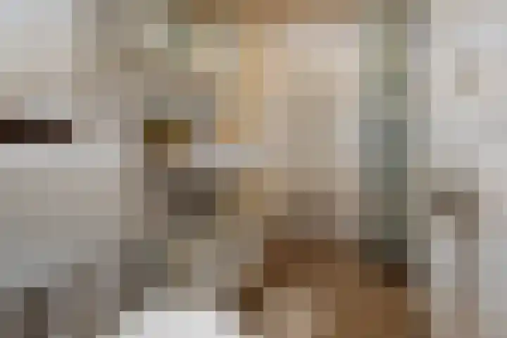 Molenweg "De Kreek" Konijnenberg 53 Bruinisse thumbnail 12