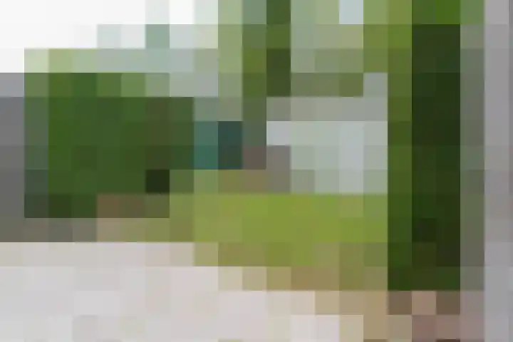 Molenweg "De Kreek" Konijnenberg 53 Bruinisse thumbnail 15