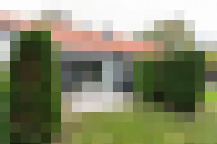 Molenweg "De Kreek" Konijnenberg 53 Bruinisse thumbnail 16