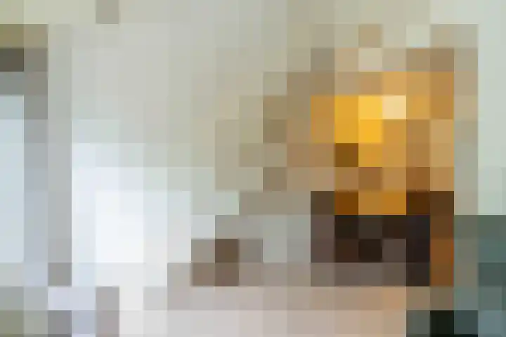 Molenweg "De Kreek" Konijnenberg 53 Bruinisse thumbnail 4