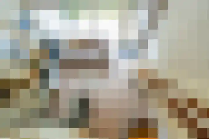 Molenweg "De Kreek" Konijnenberg 53 Bruinisse thumbnail 5