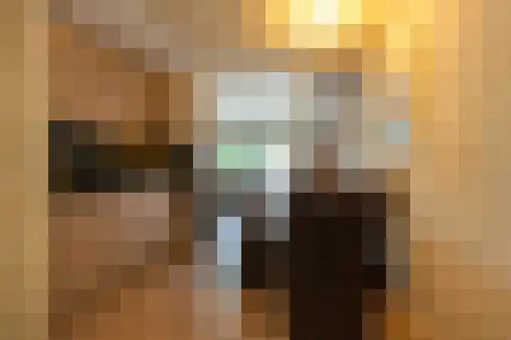 Molenweg "De Kreek" Konijnenberg 53 Bruinisse thumbnail 7