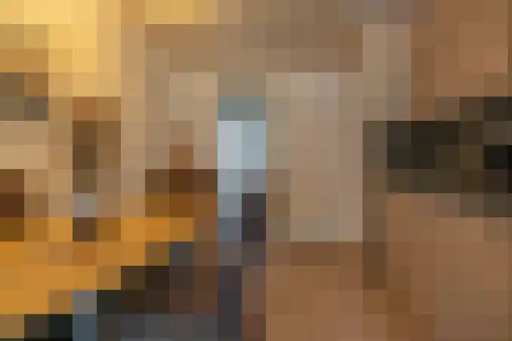 Molenweg "De Kreek" Konijnenberg 53 Bruinisse thumbnail 8