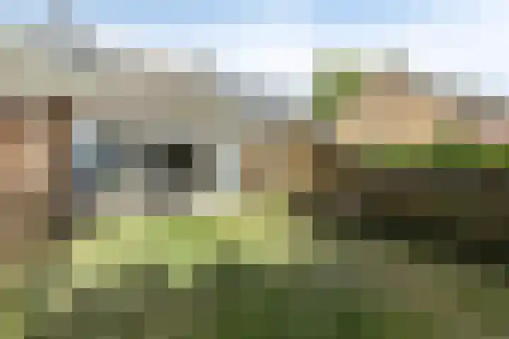 Molenweg "De Kreek" Vijverlaan 39 Bruinisse