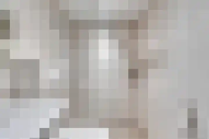 Molenweg "De Kreek" Vijverlaan 39 Bruinisse thumbnail 10