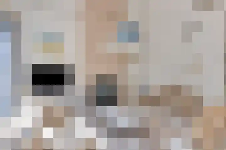 Molenweg "De Kreek" Vijverlaan 39 Bruinisse thumbnail 13