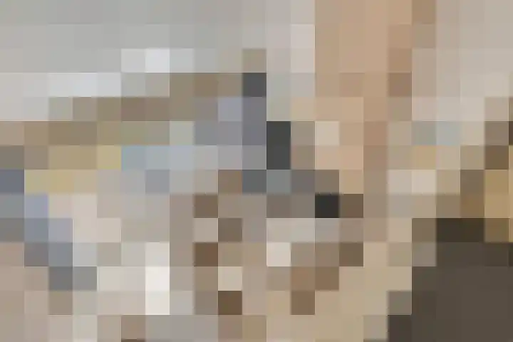 Molenweg "De Kreek" Vijverlaan 39 Bruinisse thumbnail 14