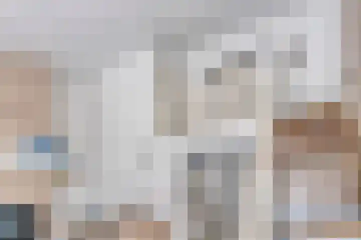Molenweg "De Kreek" Vijverlaan 39 Bruinisse thumbnail 15