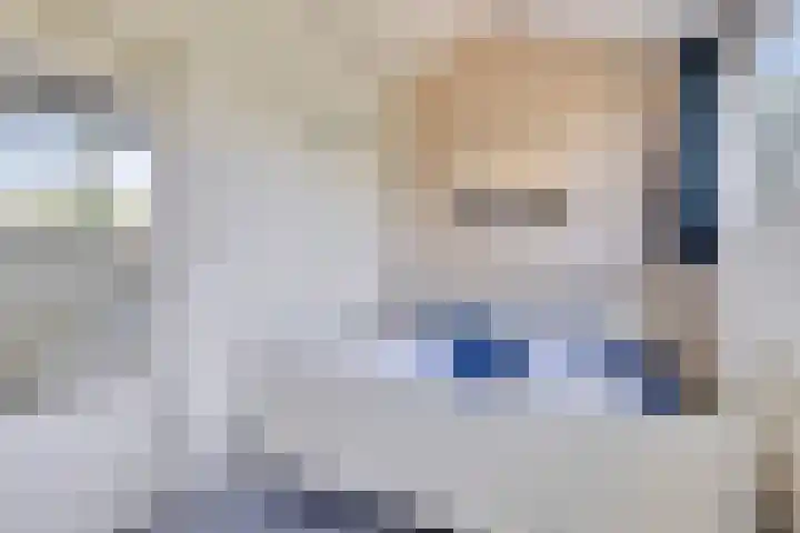 Molenweg "De Kreek" Vijverlaan 39 Bruinisse thumbnail 18