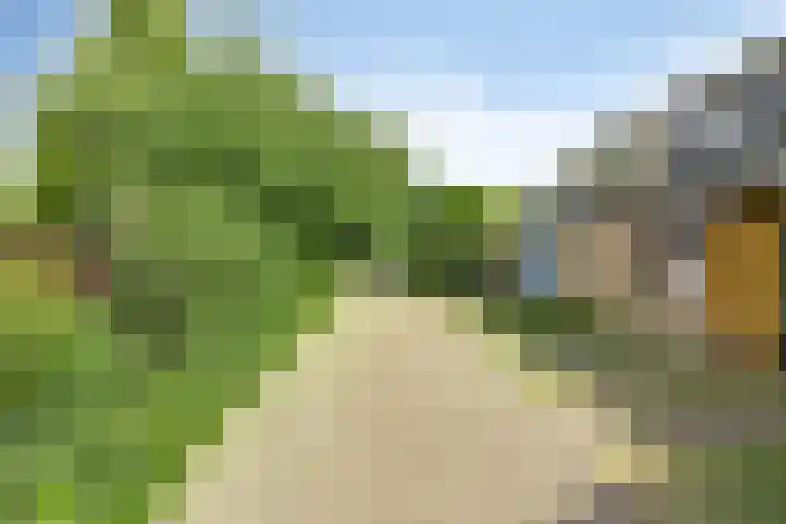Molenweg "De Kreek" Vijverlaan 39 Bruinisse thumbnail 21