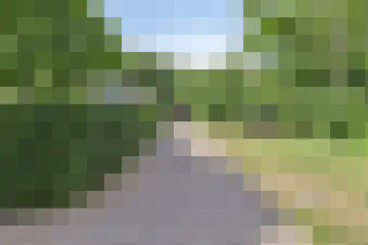Molenweg "De Kreek" Vijverlaan 39 Bruinisse thumbnail 22