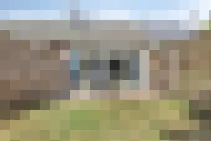 Molenweg "De Kreek" Vijverlaan 39 Bruinisse thumbnail 23