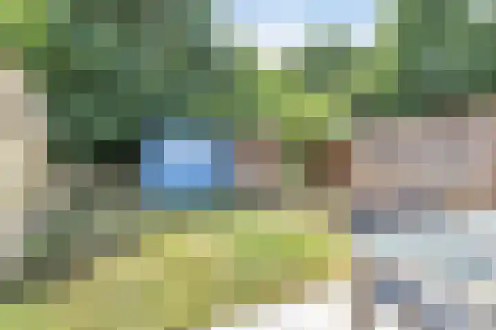 Molenweg "De Kreek" Vijverlaan 39 Bruinisse thumbnail 24