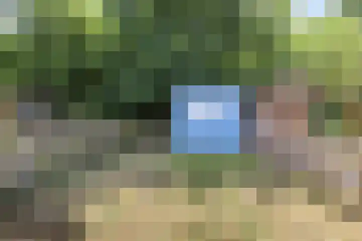 Molenweg "De Kreek" Vijverlaan 39 Bruinisse thumbnail 25