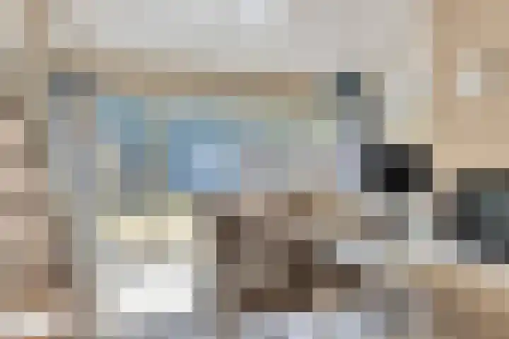 Molenweg "De Kreek" Vijverlaan 39 Bruinisse thumbnail 5