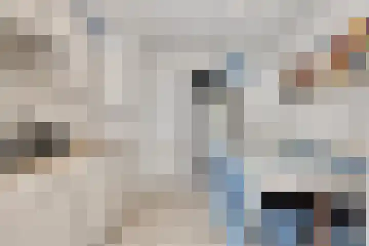 Molenweg "De Kreek" Vijverlaan 39 Bruinisse thumbnail 6