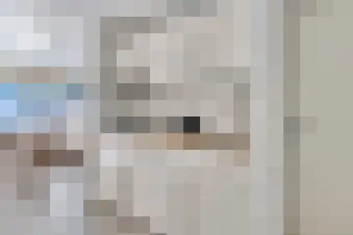 Molenweg "De Kreek" Vijverlaan 39 Bruinisse thumbnail 9