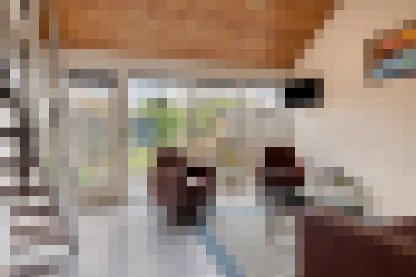 Molenweg "De Kreek" Vijverlaan 68 Bruinisse thumbnail 11