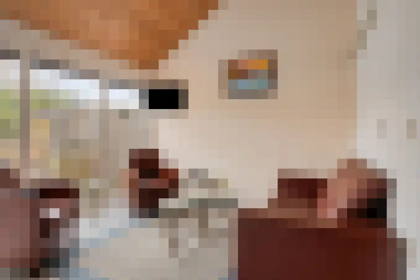 Molenweg "De Kreek" Vijverlaan 68 Bruinisse thumbnail 12
