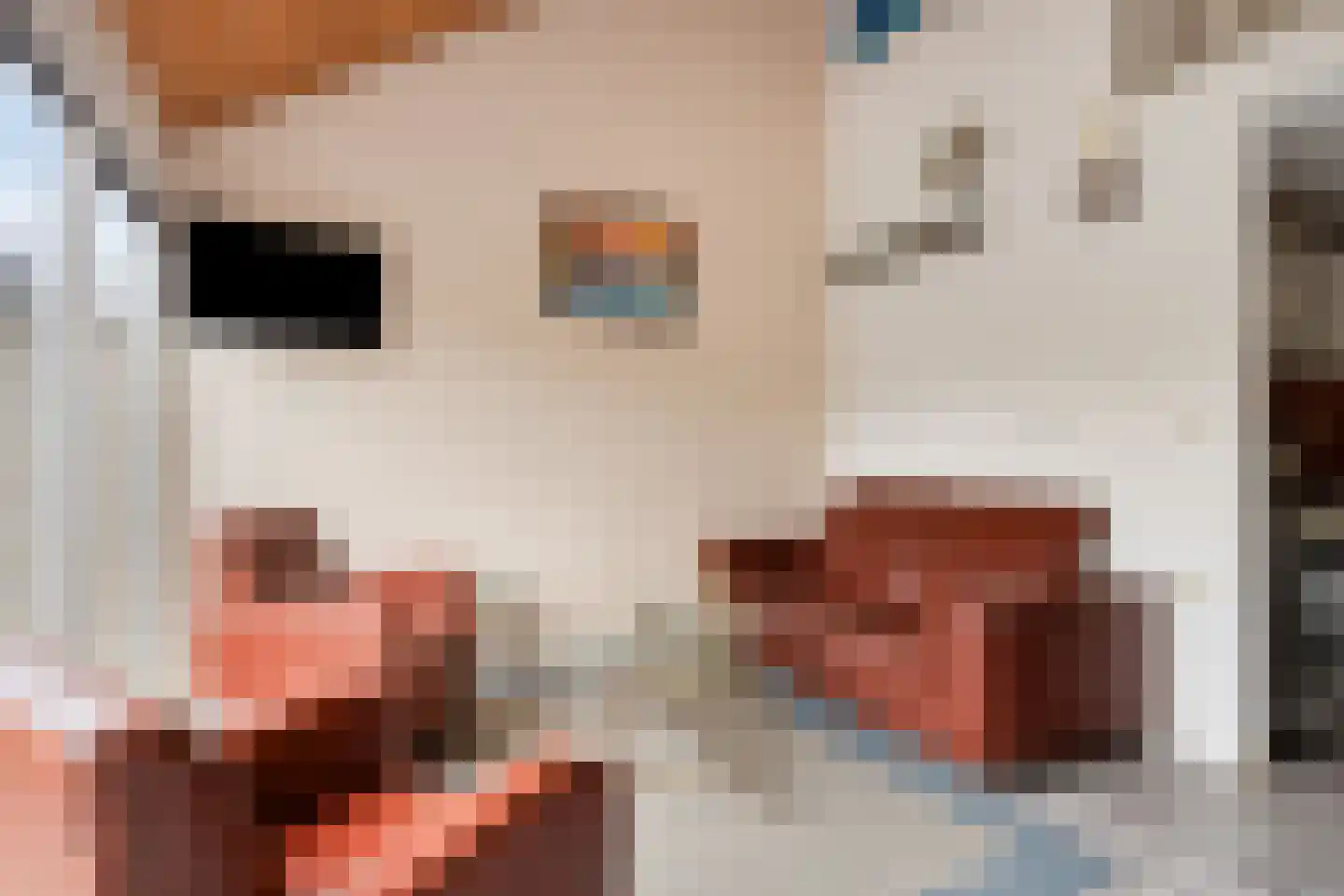 Molenweg "De Kreek" Vijverlaan 68 Bruinisse thumbnail 13