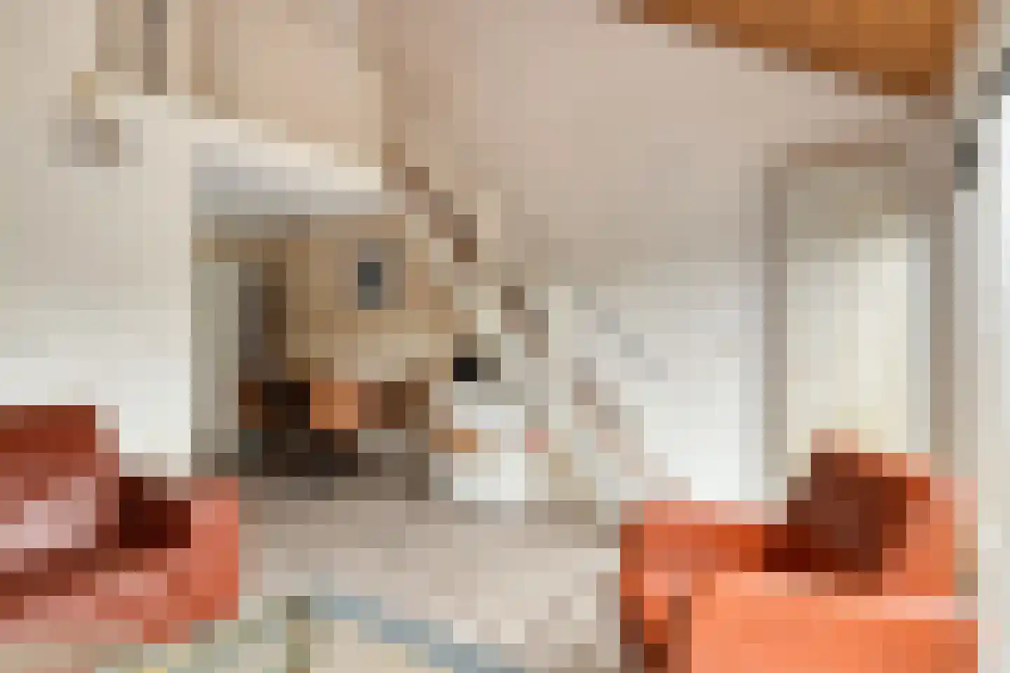 Molenweg "De Kreek" Vijverlaan 68 Bruinisse thumbnail 14