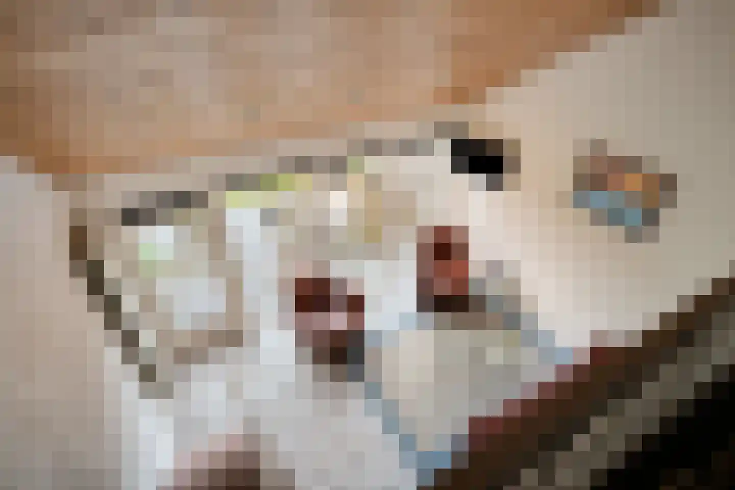 Molenweg "De Kreek" Vijverlaan 68 Bruinisse thumbnail 19