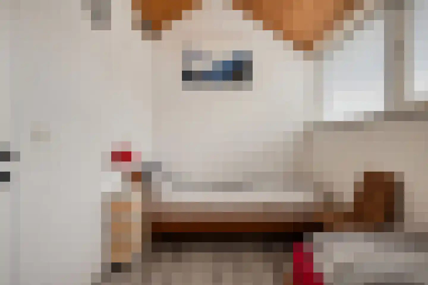Molenweg "De Kreek" Vijverlaan 68 Bruinisse thumbnail 21