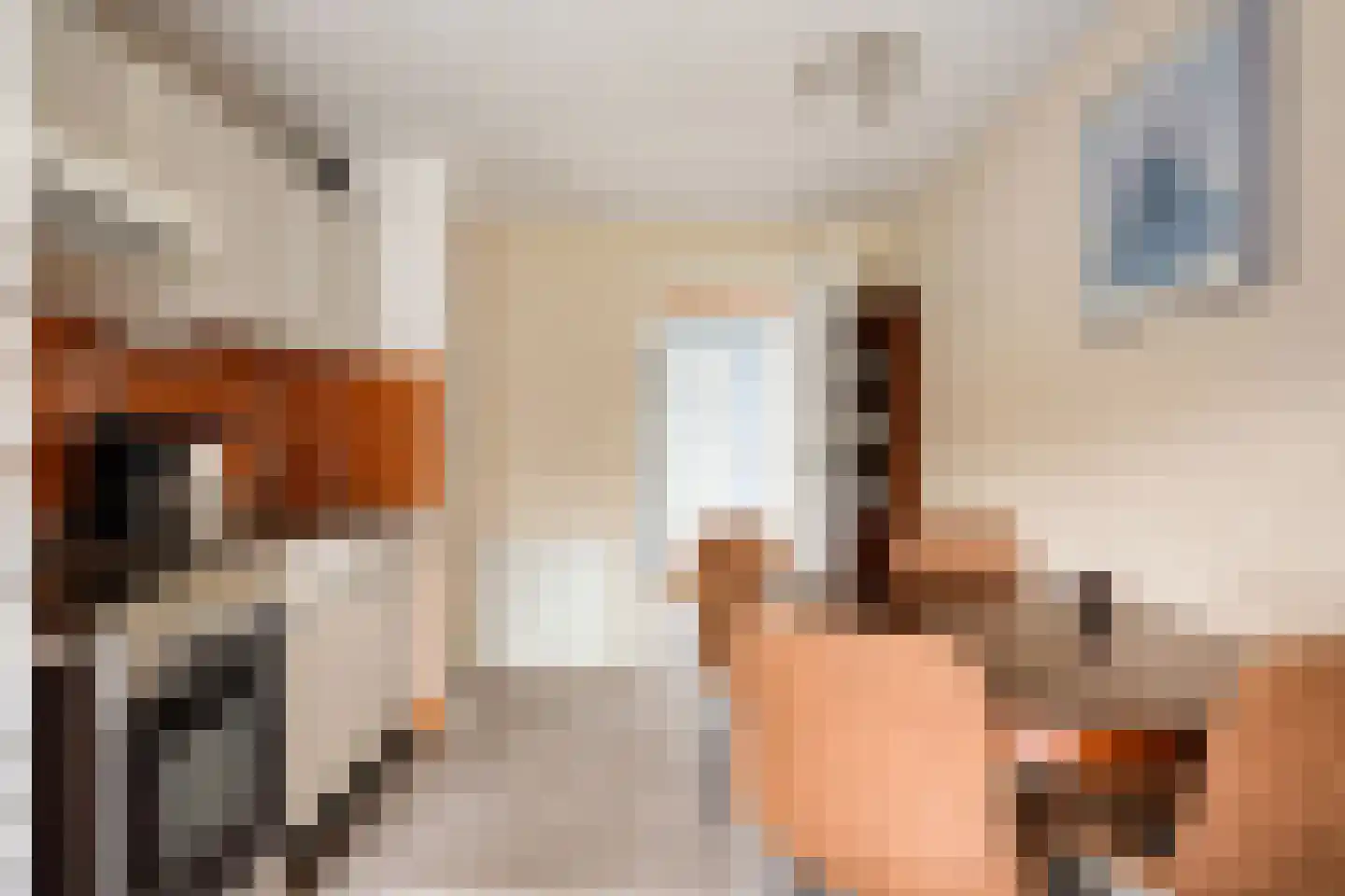 Molenweg "De Kreek" Vijverlaan 68 Bruinisse thumbnail 9