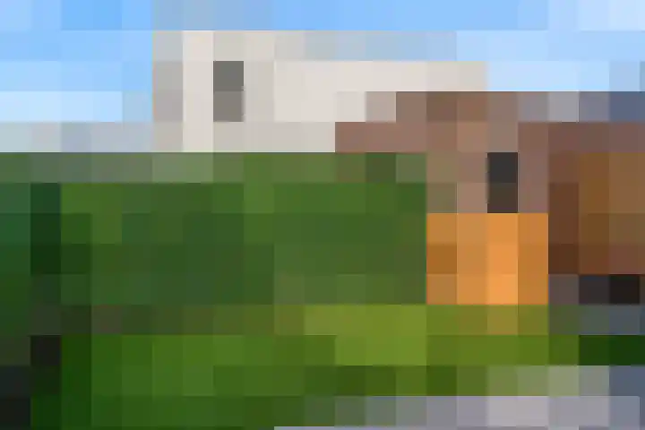 Molenweg Zuid 16 Urmond thumbnail 26