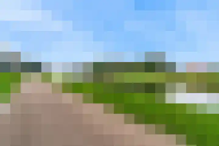 Molenweg Zuid 16 Urmond thumbnail 31