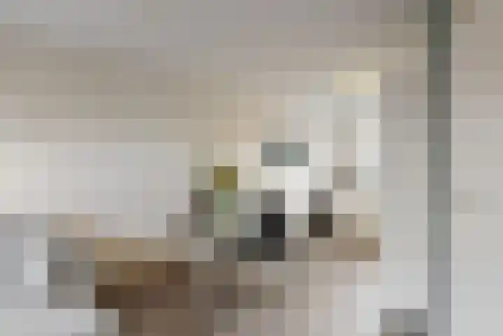 Molenweg Zuid 16 Urmond thumbnail 7