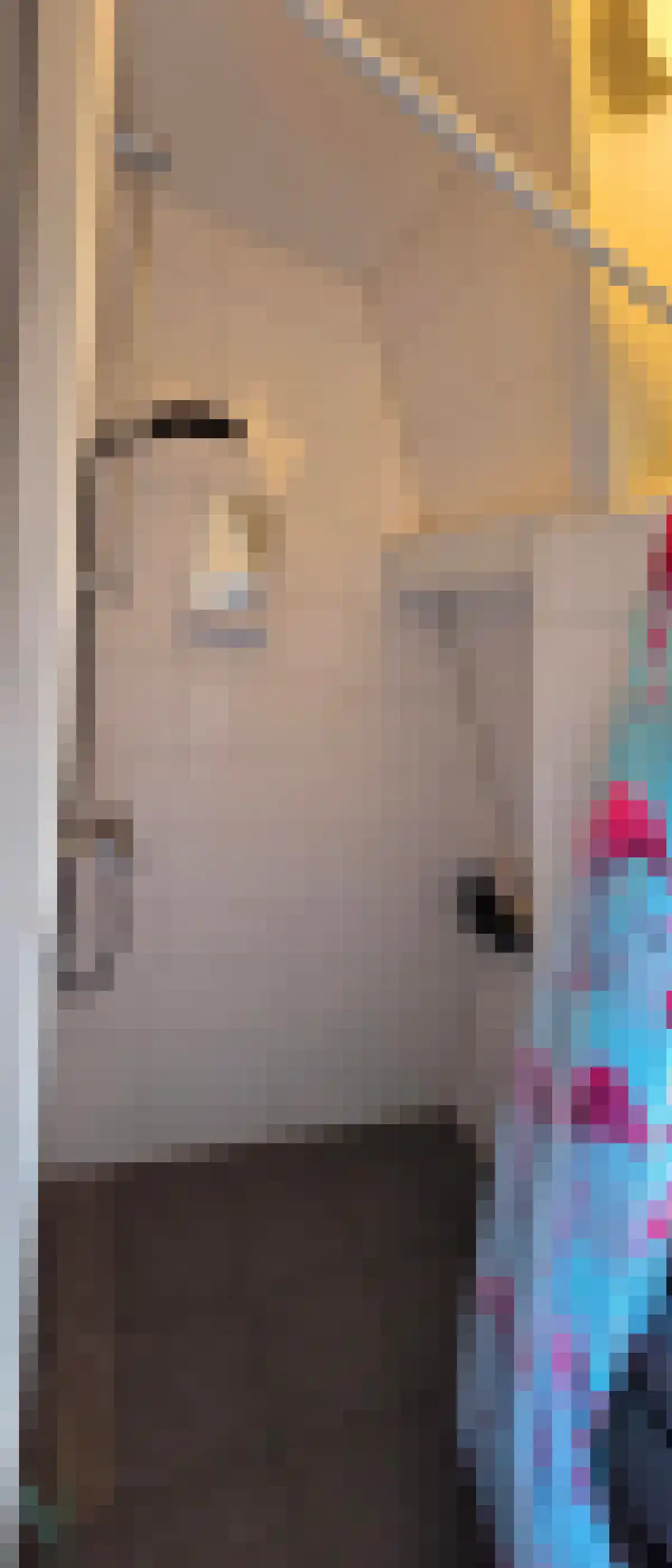 Molenweg Zwolle thumbnail 4