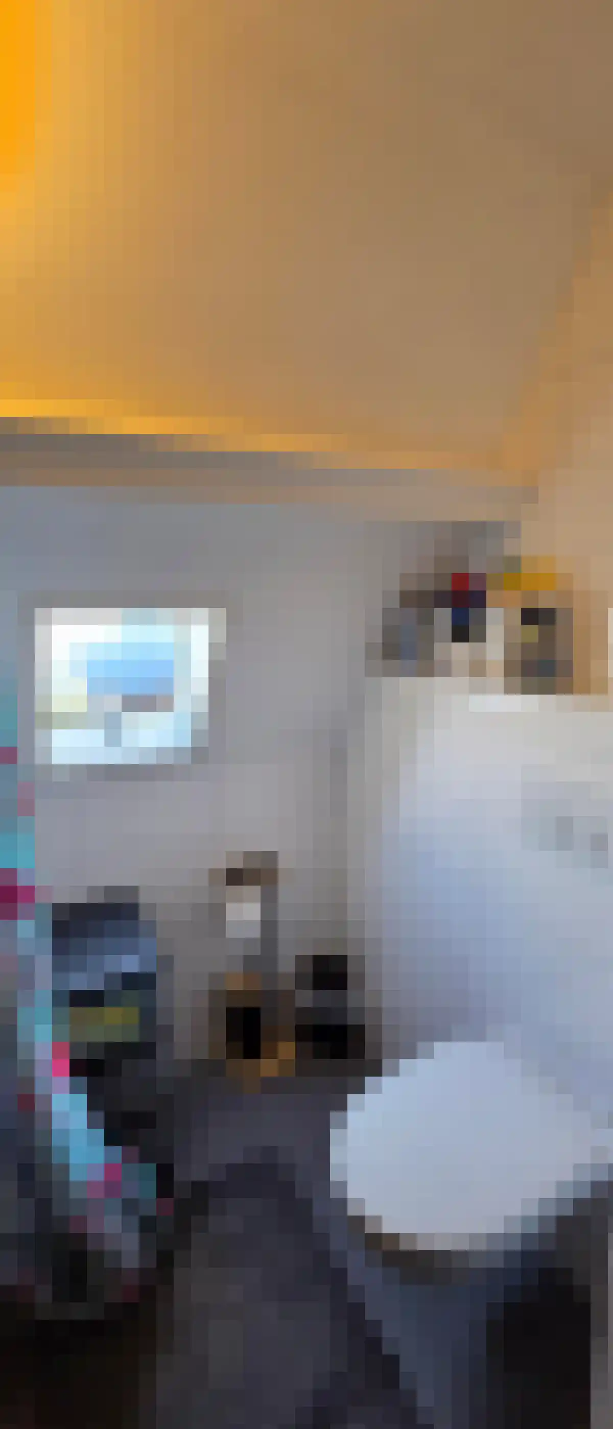 Molenweg Zwolle thumbnail 5