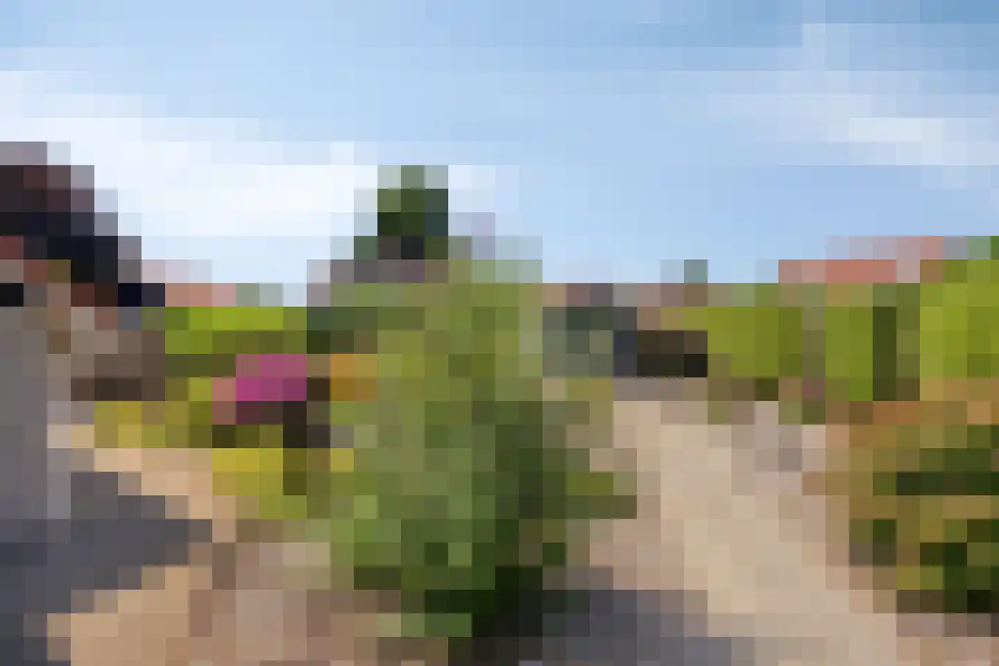 Molenwegje 42 Maasbommel thumbnail 23
