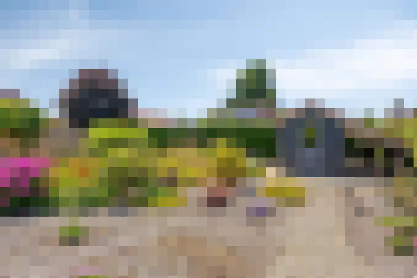Molenwegje 42 Maasbommel thumbnail 24