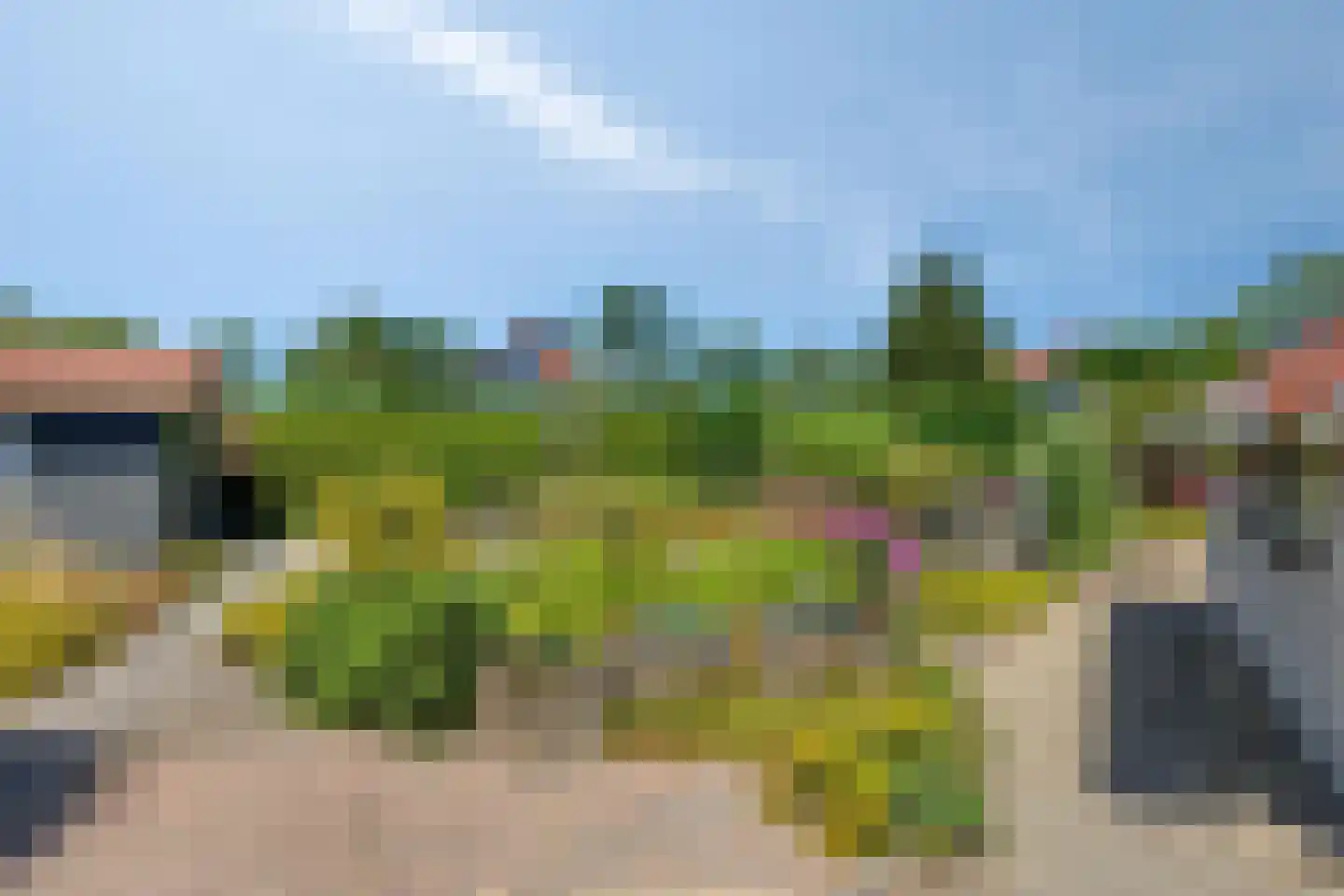 Molenwegje 42 Maasbommel thumbnail 26