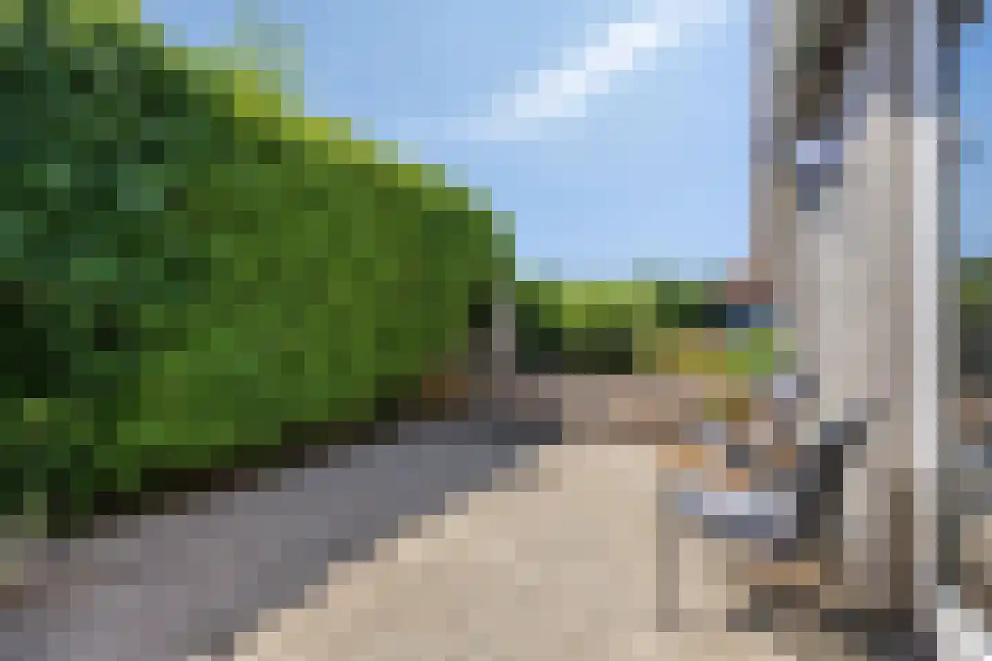 Molenwegje 42 Maasbommel thumbnail 28