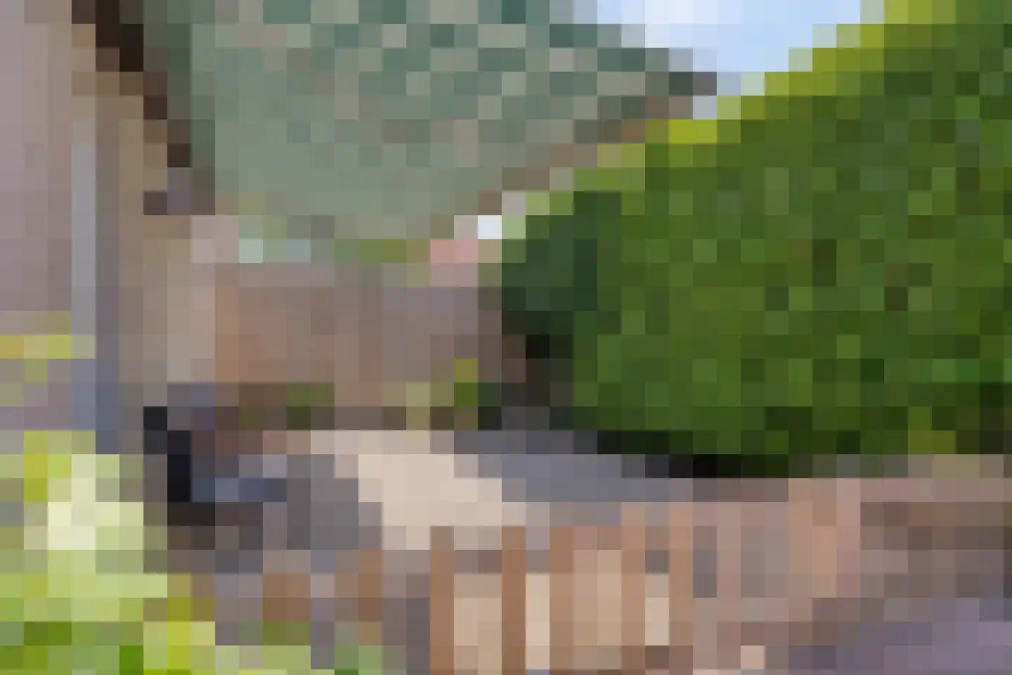 Molenwegje 42 Maasbommel thumbnail 31
