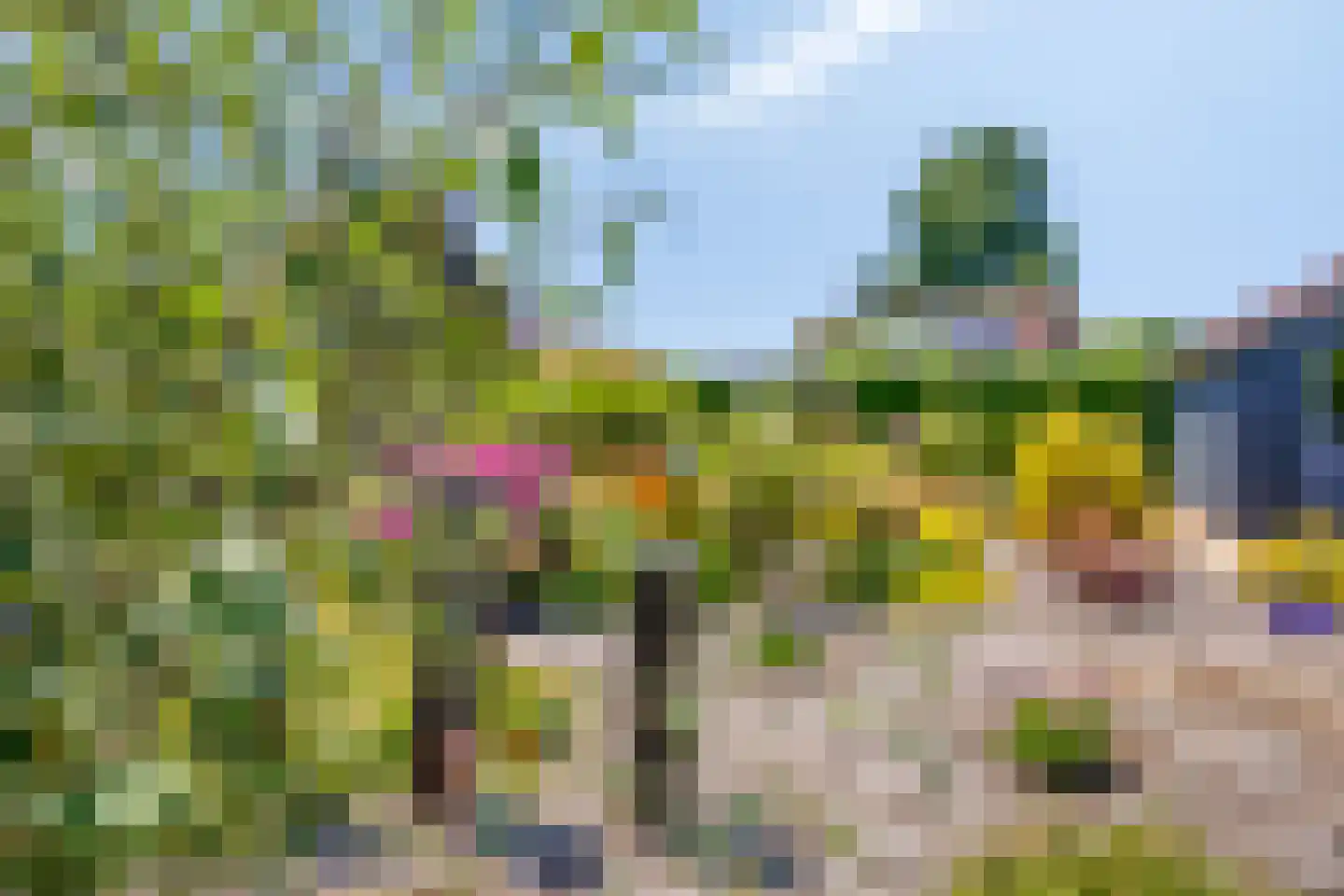 Molenwegje 42 Maasbommel thumbnail 32