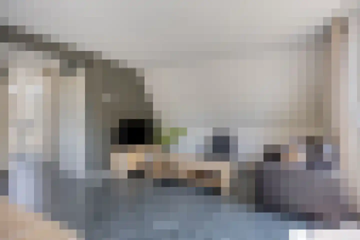 Molenwegje 42 Maasbommel thumbnail 7