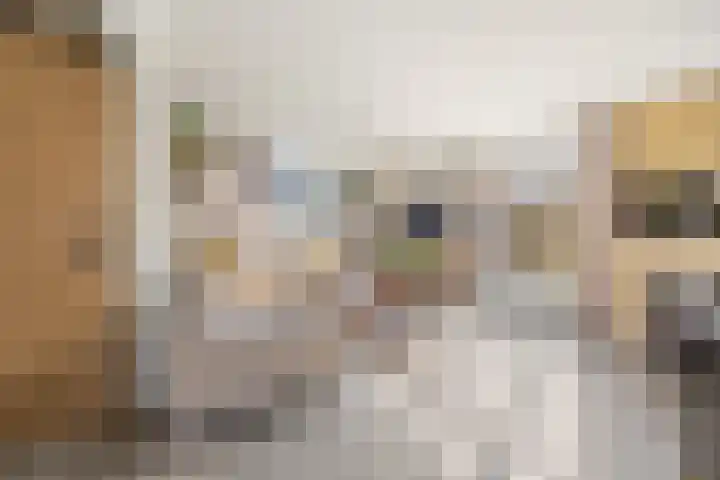 Molenwegje 47 Maasbommel thumbnail 10