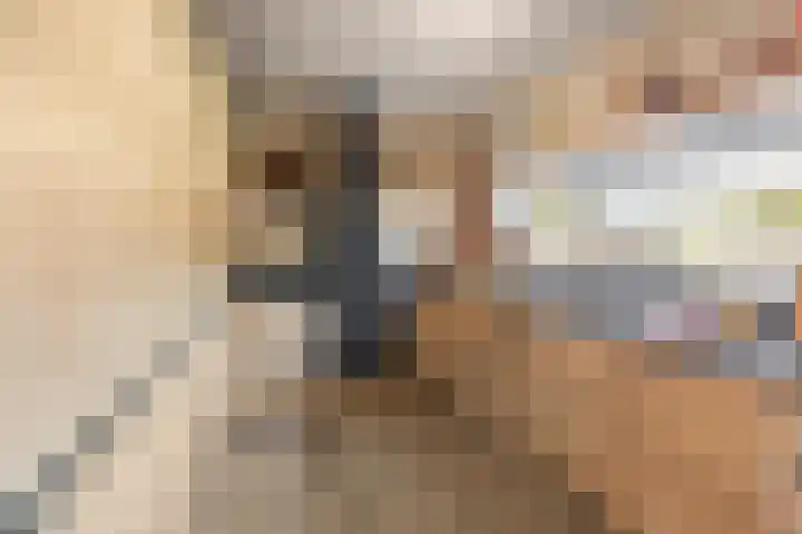 Molenwegje 47 Maasbommel thumbnail 13